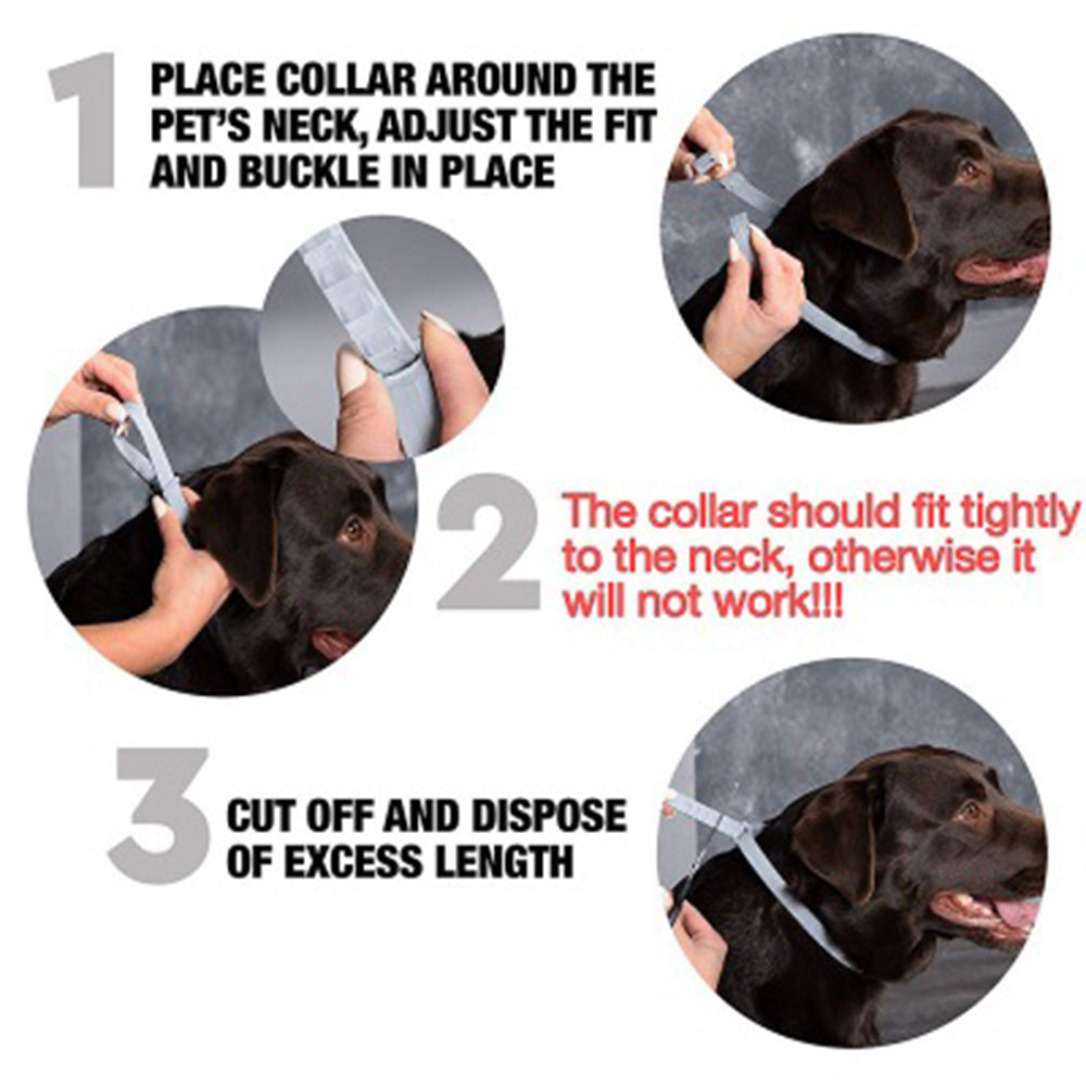 flea collar for dogs