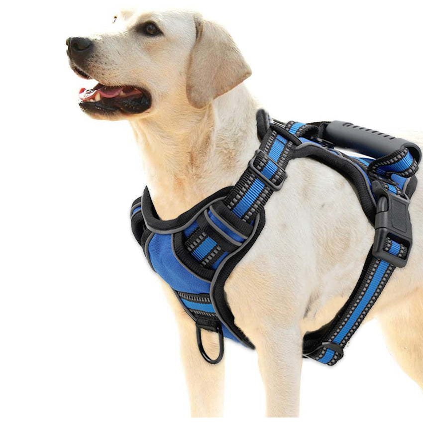 dog harness