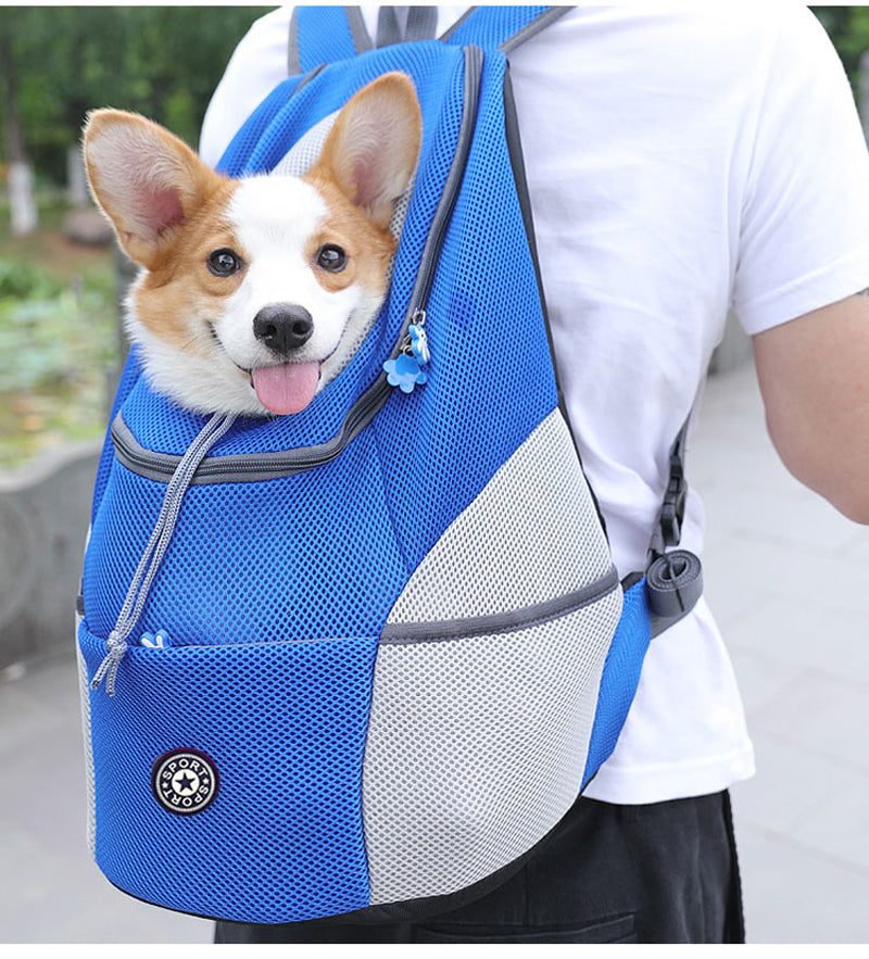 corgi backpack