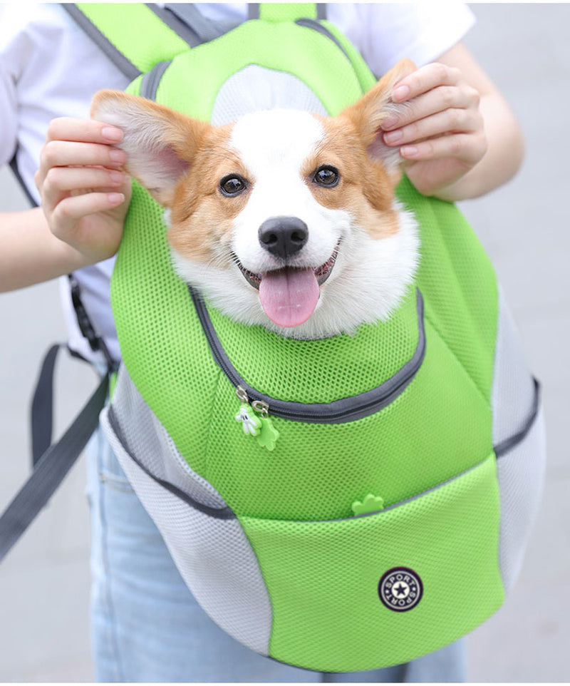 corgi backpack