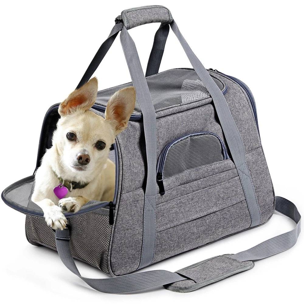 dog carrier